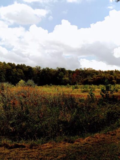 Evans McKinney Park - Elkton, MD