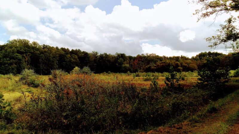 Evans McKinney Park - Elkton, MD