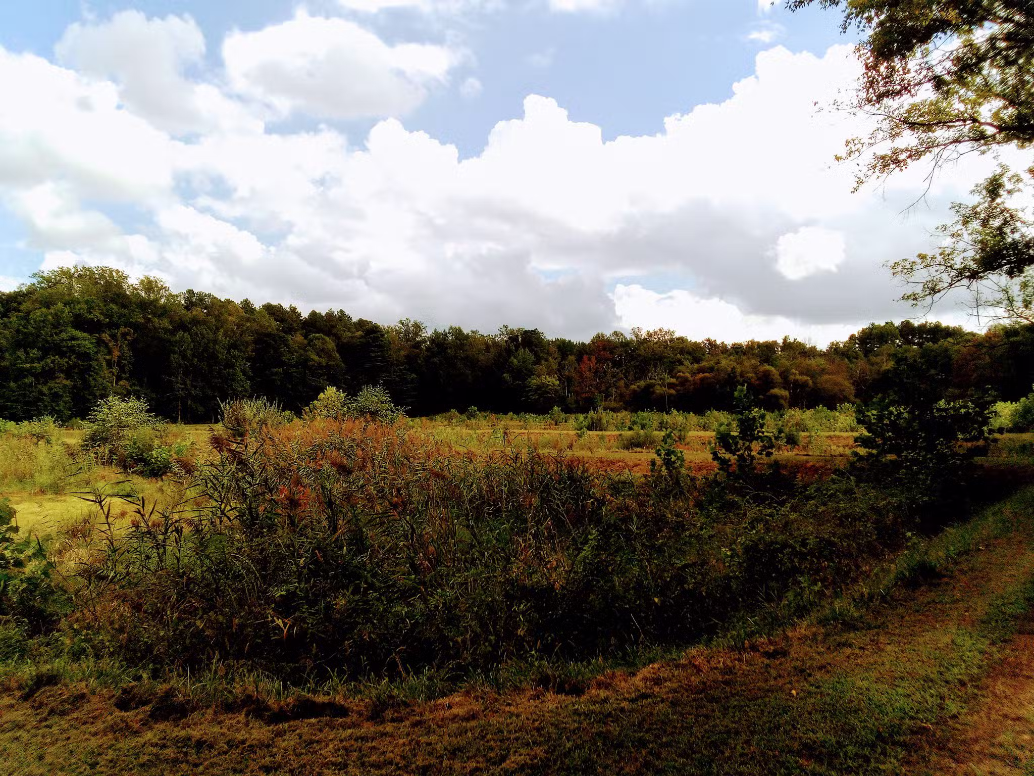 Evans McKinney Park - Elkton, MD