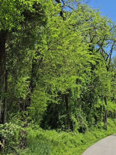 Fair Hill Nature Center - Elkton, MD