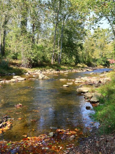 Fair Hill Nature Center - Elkton, MD