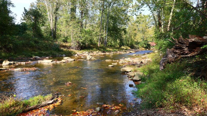 Fair Hill Nature Center - Elkton, MD