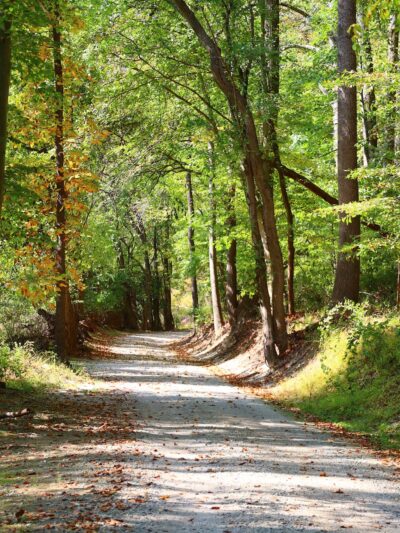 Fair Hill NRMA Parking Lot #3, North Appleton Parking Lot - Elkton, MD