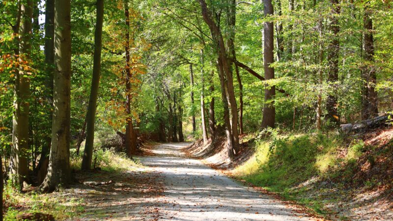 Fair Hill NRMA Parking Lot #3, North Appleton Parking Lot - Elkton, MD