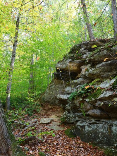 Fair Hill NRMA Parking Lot #3, North Appleton Parking Lot - Elkton, MD