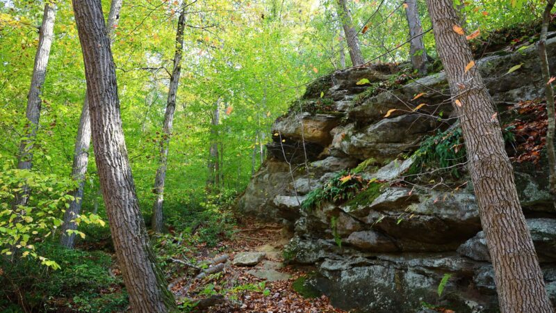 Fair Hill NRMA Parking Lot #3, North Appleton Parking Lot - Elkton, MD