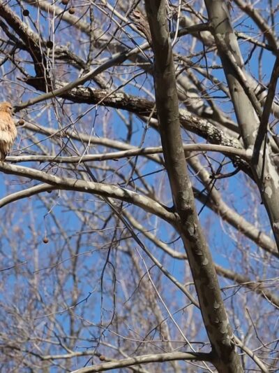 Fair Hill NRMA Parking Lot #3, North Appleton Parking Lot - Elkton, MD