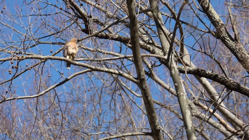 Fair Hill NRMA Parking Lot #3, North Appleton Parking Lot - Elkton, MD