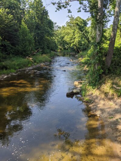 Fair Hill State Natural Resources Management Area - Elkton, MD