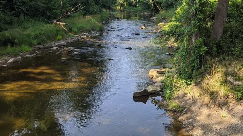 Fair Hill State Natural Resources Management Area - Elkton, MD