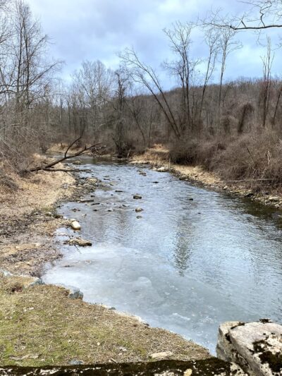 Fair Hill State Natural Resources Management Area - Elkton, MD