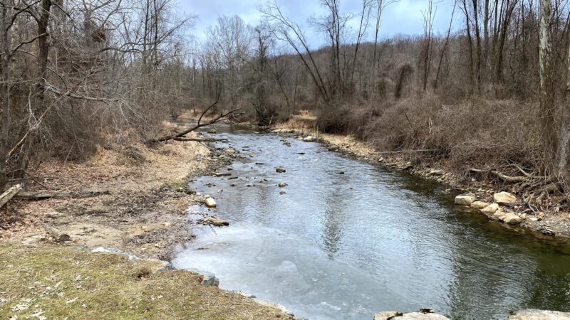 Fair Hill State Natural Resources Management Area - Elkton, MD