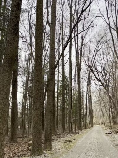 Fair Hill State Natural Resources Management Area - Elkton, MD