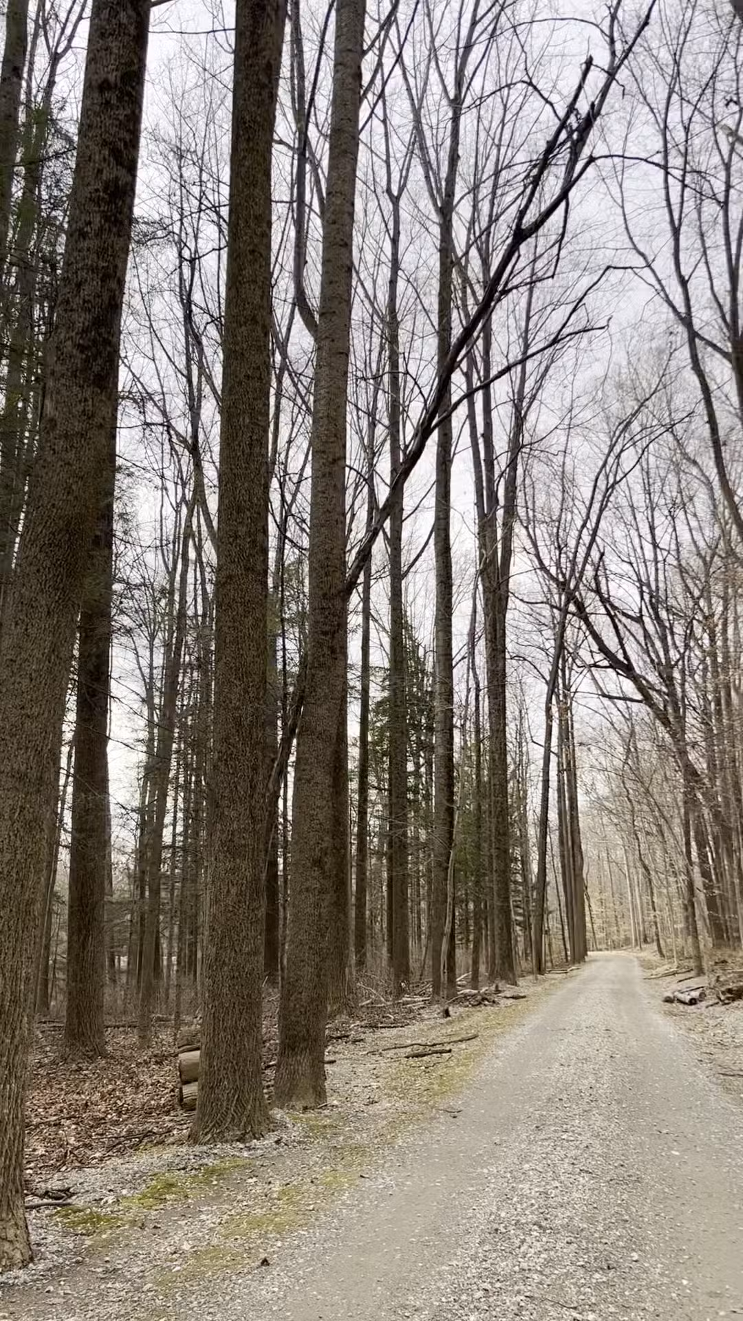 Fair Hill State Natural Resources Management Area - Elkton, MD