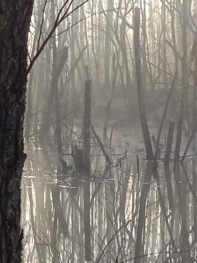 Hatchery Park - Elkton, MD