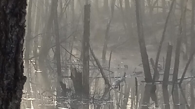 Hatchery Park - Elkton, MD