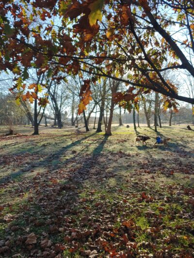 Marina Park - Elkton, MD