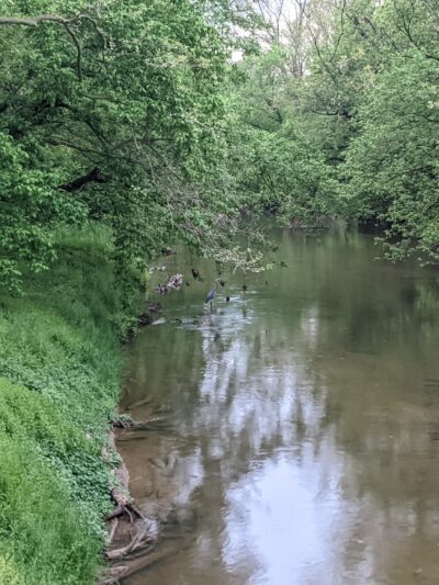 Meadow Park - Elkton, MD