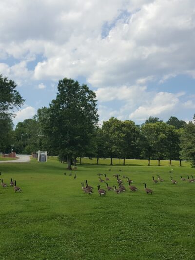 Meadow Park - Elkton, MD