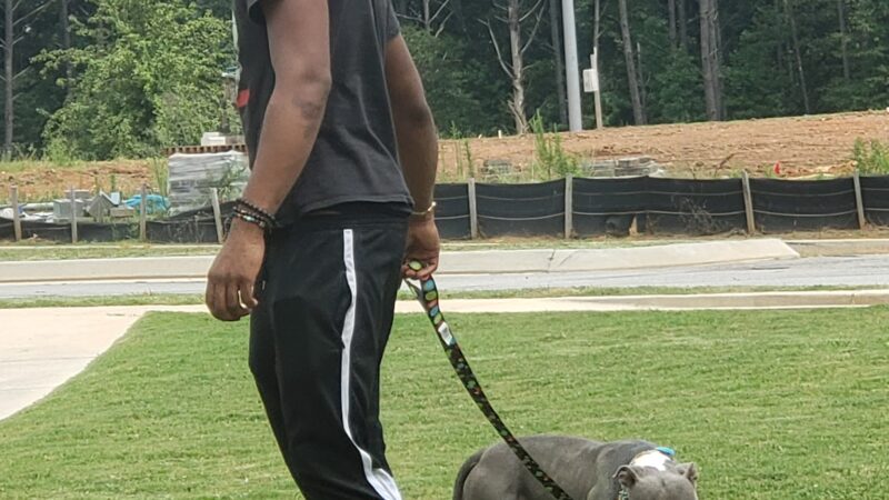 Clayton County Animal Control - Ellenwood, GA
