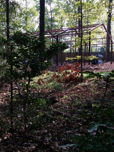 Pine Circle Park - Ellenwood, GA