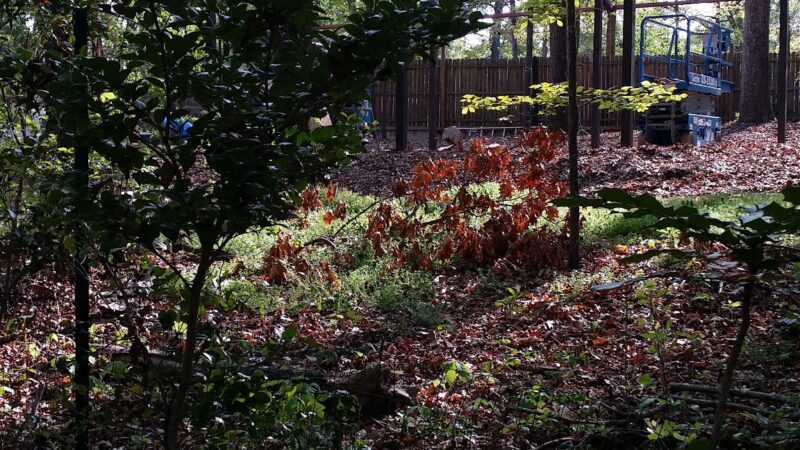 Pine Circle Park - Ellenwood, GA