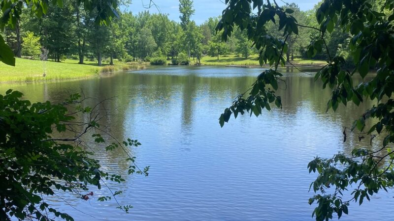 Ellerbe Springs Resort - Ellerbe, NC