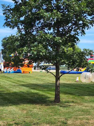 Ellsworth Park - Ellsworth, IL