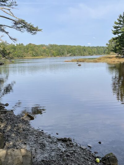 Jordan Homestead Preserve - Ellsworth, ME