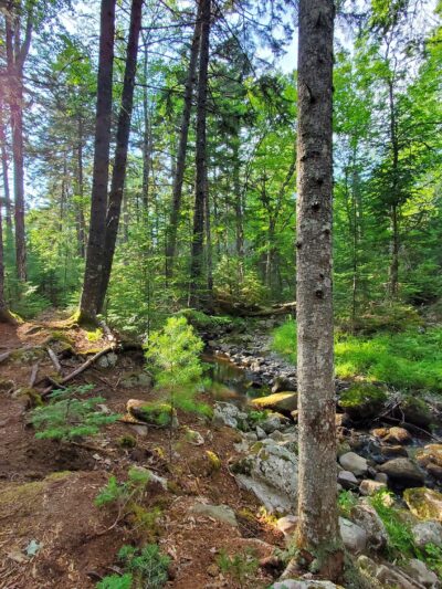 Jordan Homestead Preserve - Ellsworth, ME