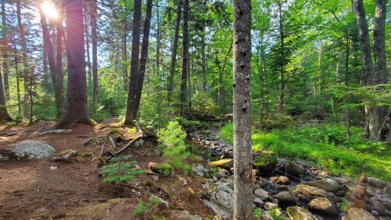 Jordan Homestead Preserve - Ellsworth, ME