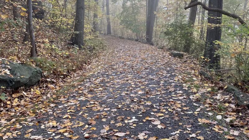 Nature Trail: Joffre Street Trailhead - Ellwood City, PA