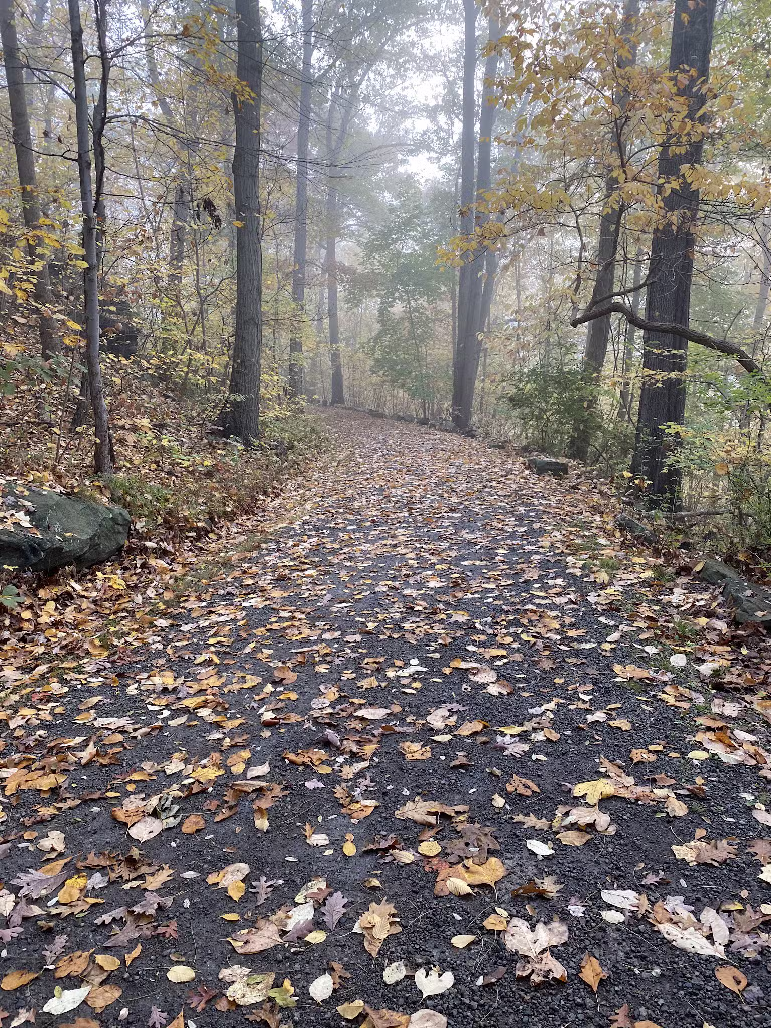 Nature Trail: Joffre Street Trailhead - Ellwood City, PA