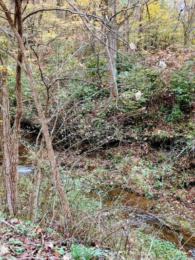 Nature Trail: Joffre Street Trailhead - Ellwood City, PA