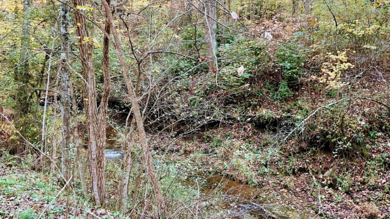 Nature Trail: Joffre Street Trailhead - Ellwood City, PA