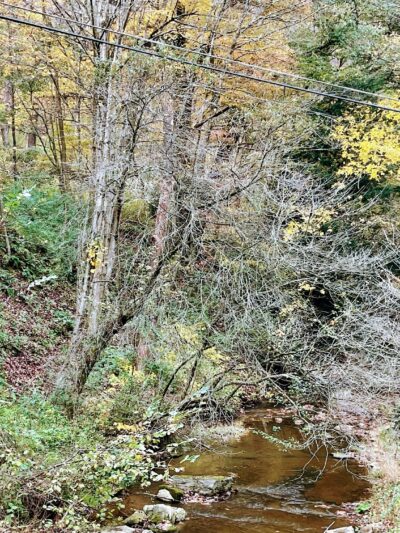 Nature Trail: Joffre Street Trailhead - Ellwood City, PA
