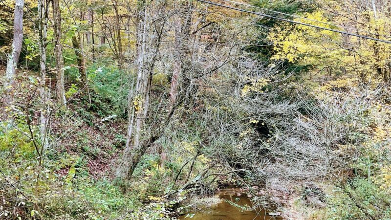 Nature Trail: Joffre Street Trailhead - Ellwood City, PA