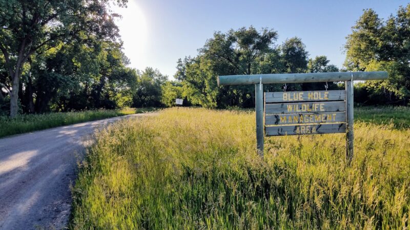 Chloe Circle - Elm Creek, NE