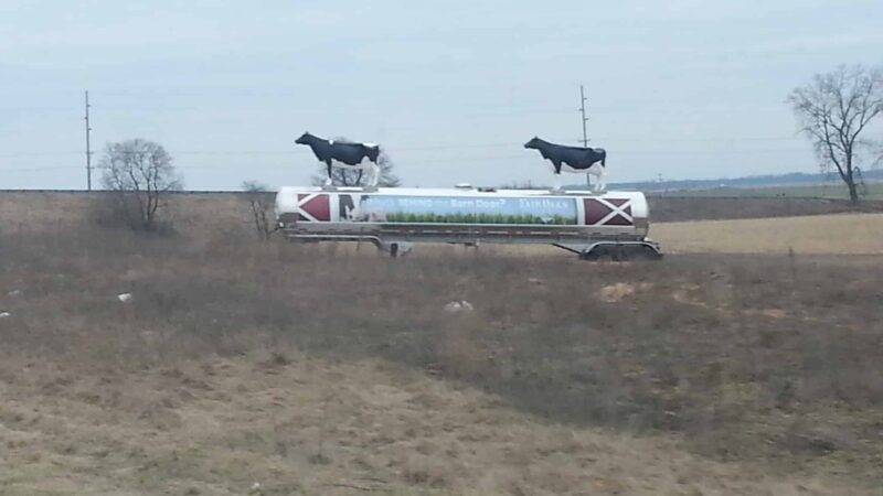 Chloe Circle - Elm Creek, NE