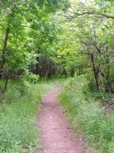 Chloe Circle - Elm Creek, NE