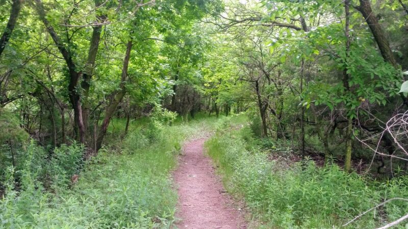 Chloe Circle - Elm Creek, NE