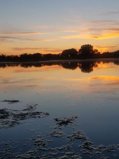 Chloe Circle - Elm Creek, NE