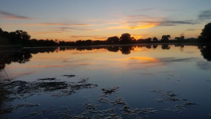 Chloe Circle - Elm Creek, NE