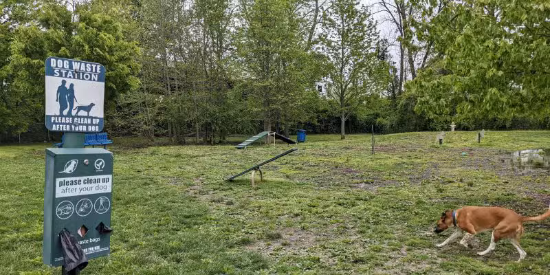 Elsmere Dog Park - Elsmere, DE