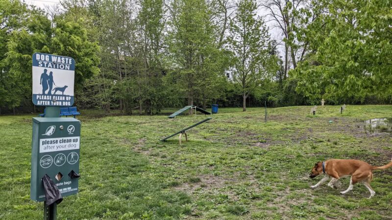 Elsmere Dog Park - Elsmere, DE