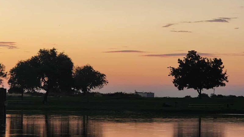 Gibson Ranch Dog Park - Elverta, CA