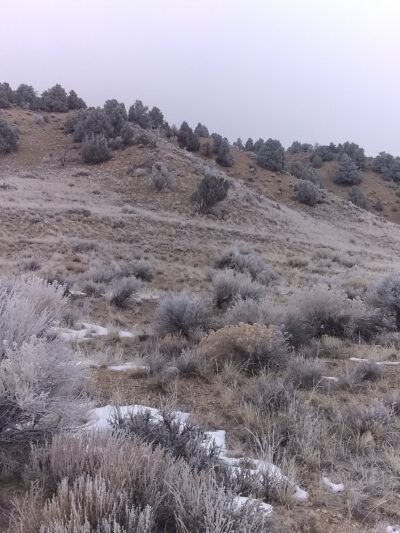 Bianche Park - Ely, NV