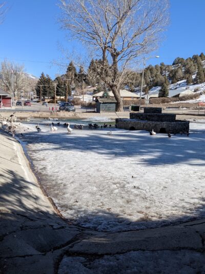 Courthouse Park - Ely, NV