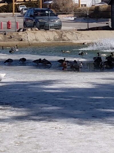 Courthouse Park - Ely, NV