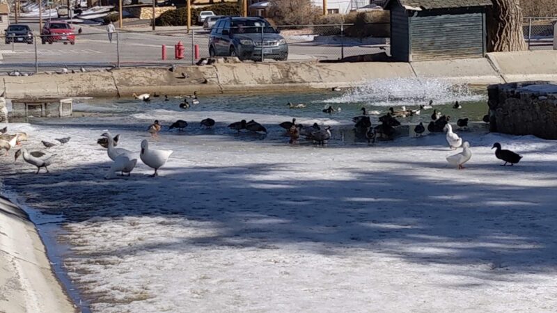 Courthouse Park - Ely, NV